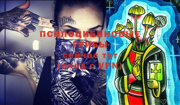 индика Верхний Тагил