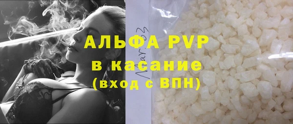 индика Верхний Тагил