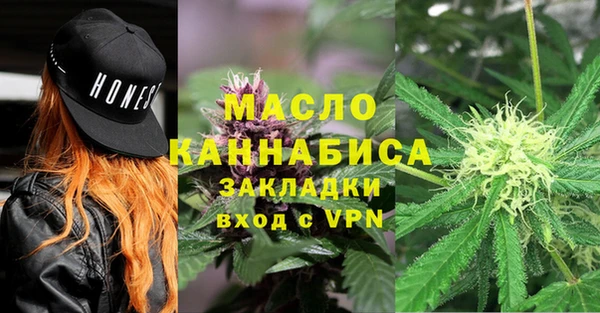 индика Верхний Тагил