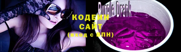 индика Верхний Тагил