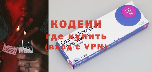 индика Верхний Тагил