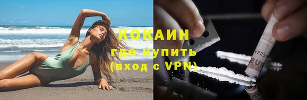 индика Верхний Тагил