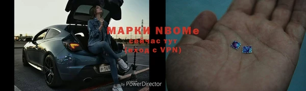 индика Верхний Тагил