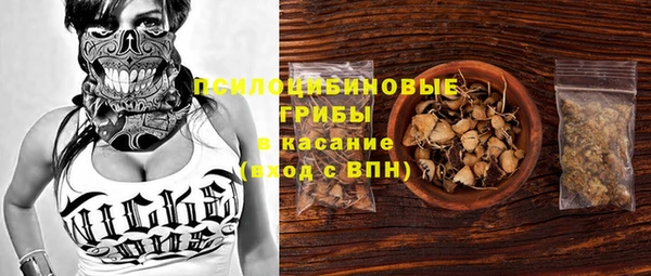 эйфоретик Верея