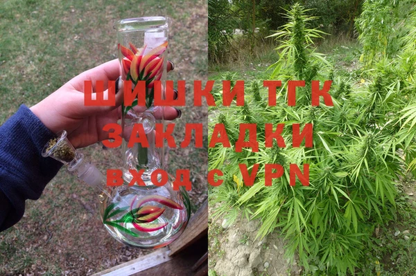 индика Верхний Тагил