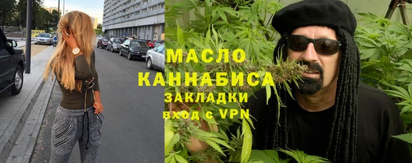 индика Верхний Тагил