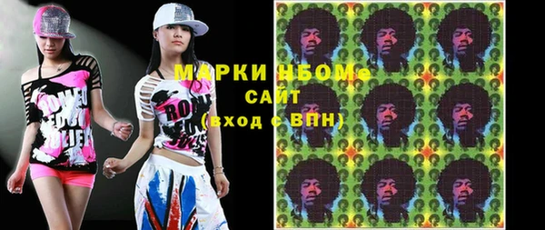 индика Верхний Тагил