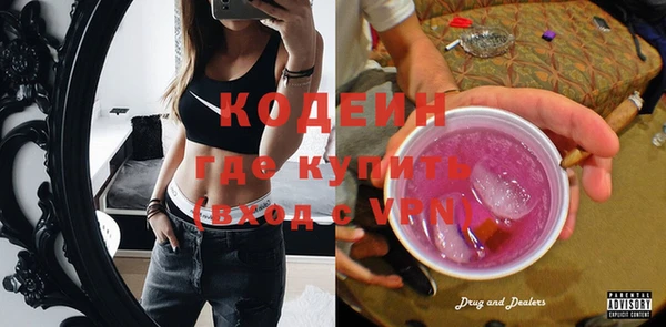 индика Верхний Тагил