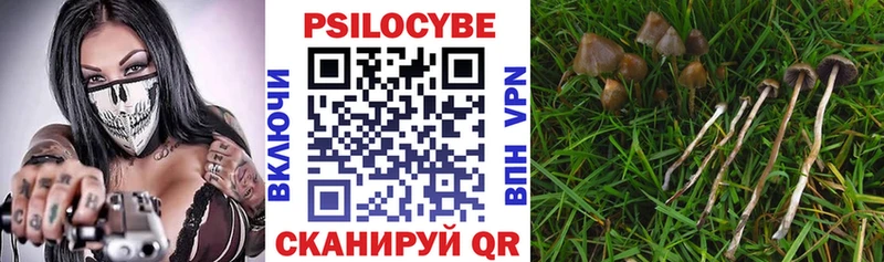 где купить   kraken как войти  Галлюциногенные грибы Cubensis  Грязовец 