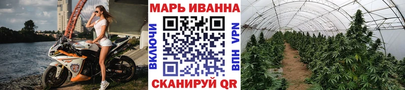 Каннабис Amnesia  Грязовец 